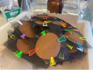FeO-coated papers between polyethylene mesh filters
