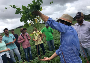 Man on farm holding bean plant teaching sustainable agriculture