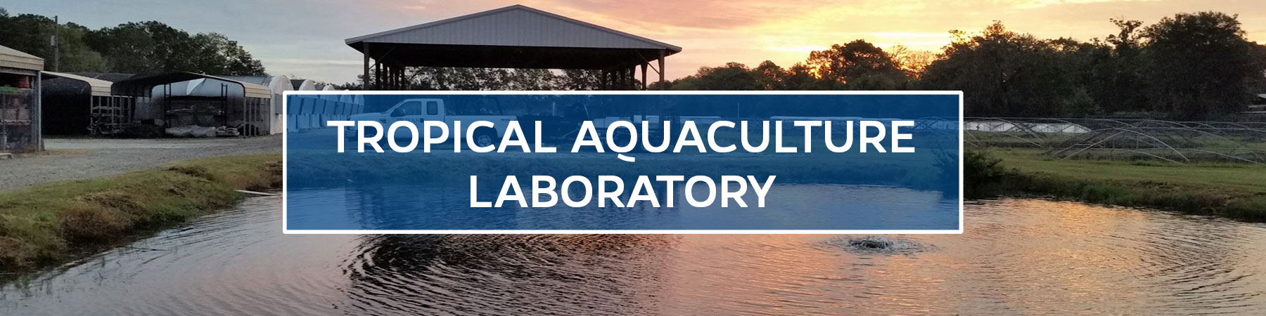 UF/IFAS Tropical Aquaculture Laboratory