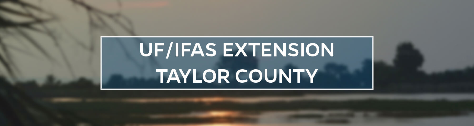 UF/IFAS Extension Taylor County