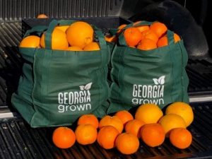 oranges in 2 Georgia grown bag