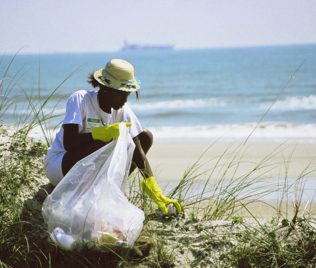 Cleaning up the coast - UF IFAS Communications Photo