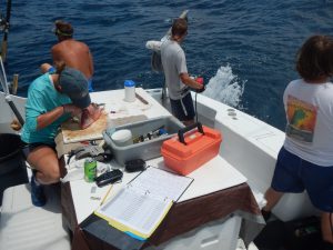 recording data on water quality and fish catch on the boat