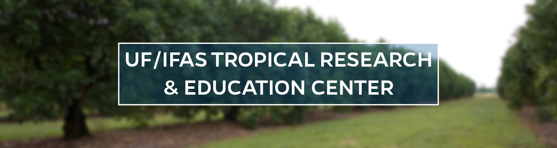 UF/IFAS Tropical Research and Education Center