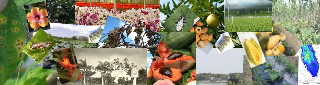 Collage of areas researched at UF?IFAS Tropical Research & Education Center