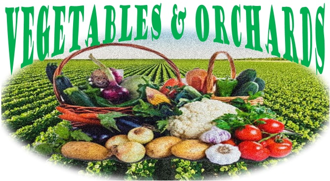Vegetables & Orchards logo 1