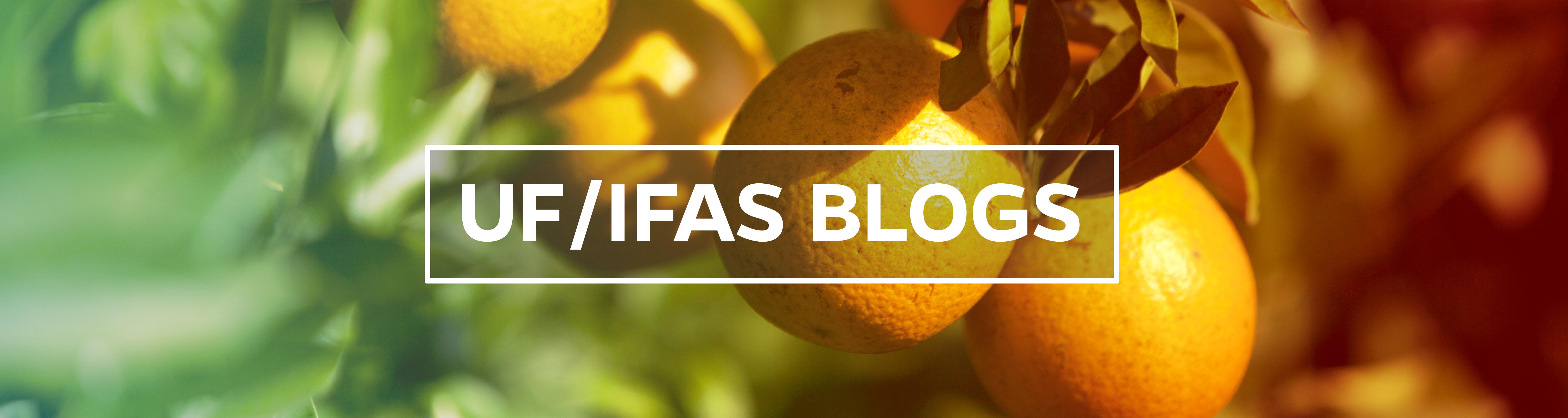 UF/IFAS Global Blogs