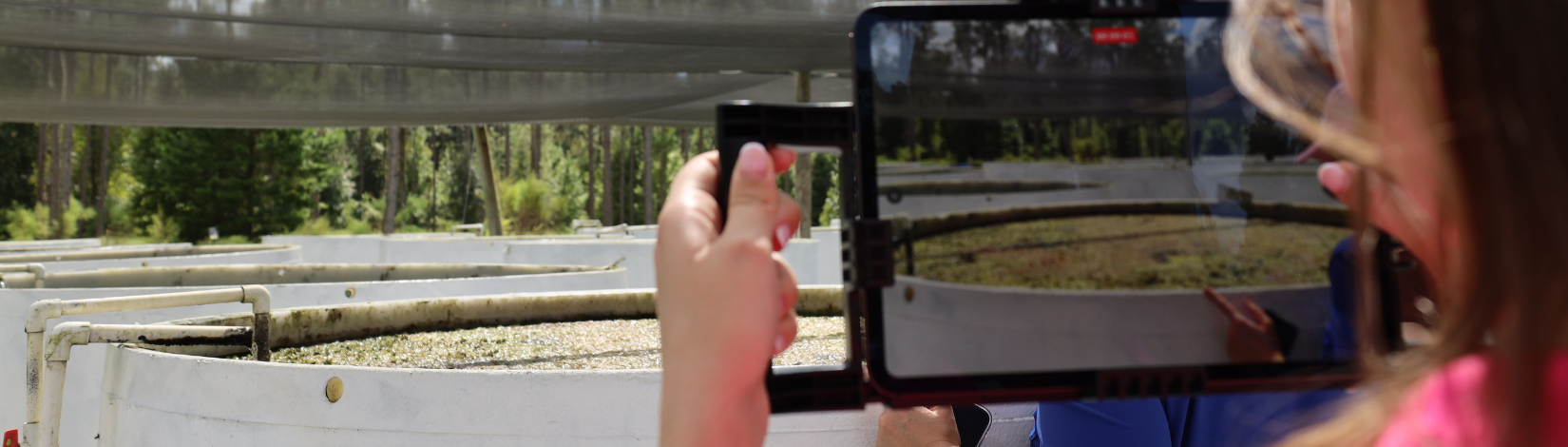 Person holding iPad taking video of fish tanks