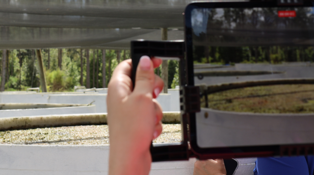 Person holding iPad taking video of fish tanks