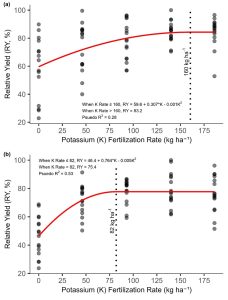 A graph showing quadratic plateau regression models of the relationship between potassium fertilization rate (kg ha-1) and RY (%) in Hilltop and in Citra. The break point, denoted with a grey dotted line, in each regression represents the highest K rate that was likely to reach the 99% RY goal.