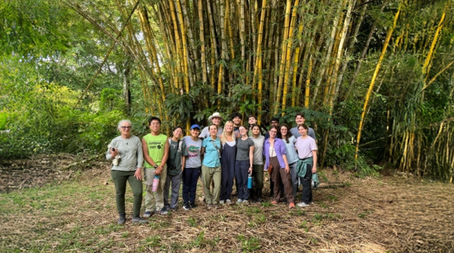 From Gainesville to the Tropics: Rebecca Walters’ Eye-Opening Plant Science Journey in Costa Rica