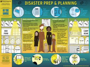 Infographic: Disaster Prep and Planning