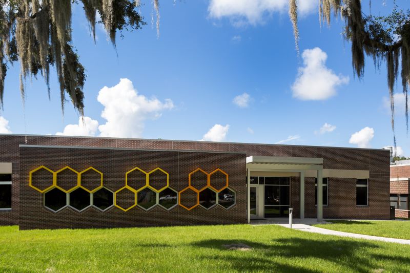 The Liquid Gold of Jacksonville - honey! - UF/IFAS Extension Duval County