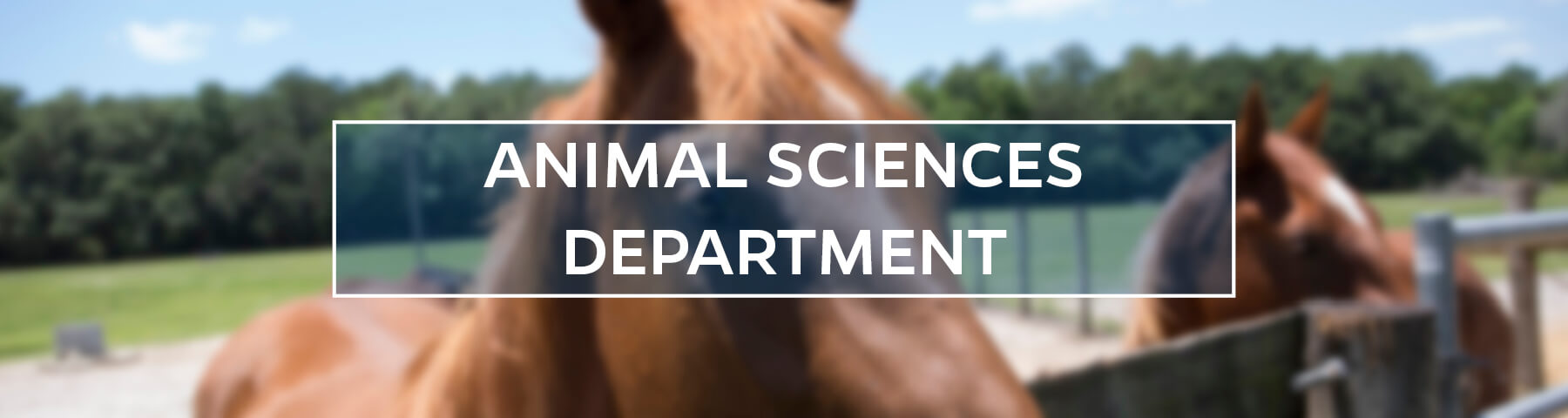 UF/IFAS Animal Sciences Department