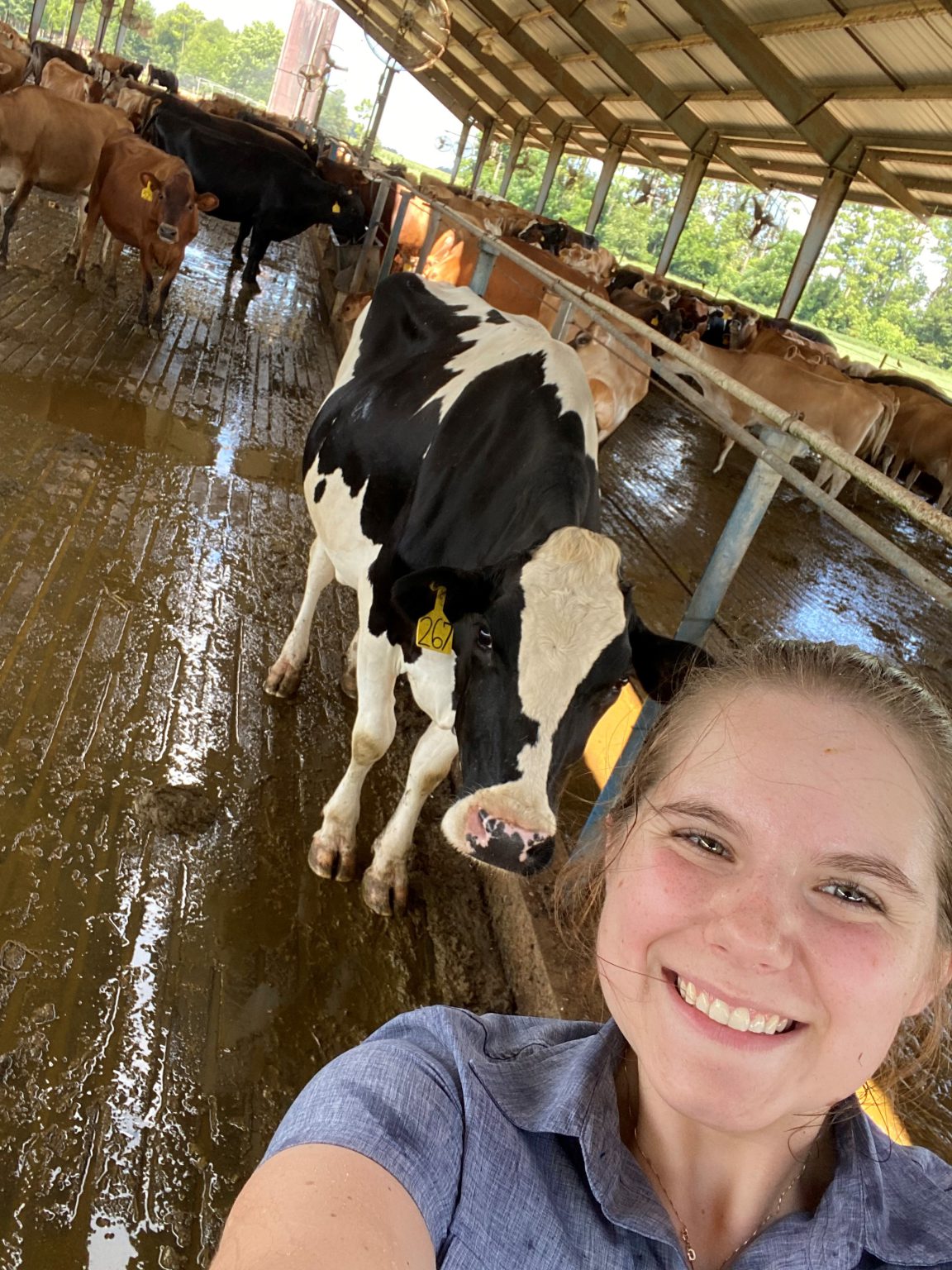 ANS Internship Highlights Hannah Newsome & Emma Schoenfeld UF/IFAS