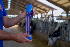 Man holding up dairy cattle research collar 