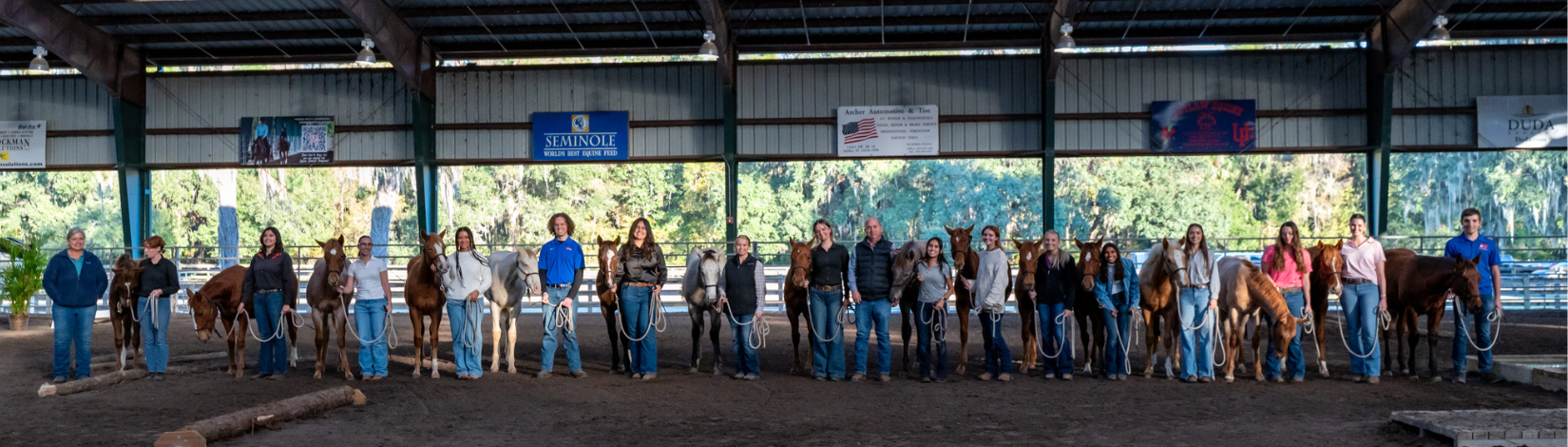 Students lined up with horses
