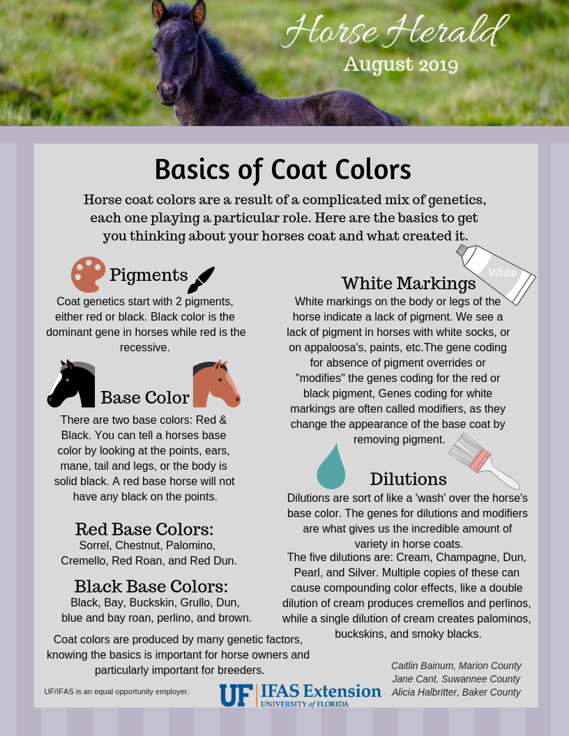 Horse Herald- Basics of Coat Colors - UF/IFAS Extension Baker County