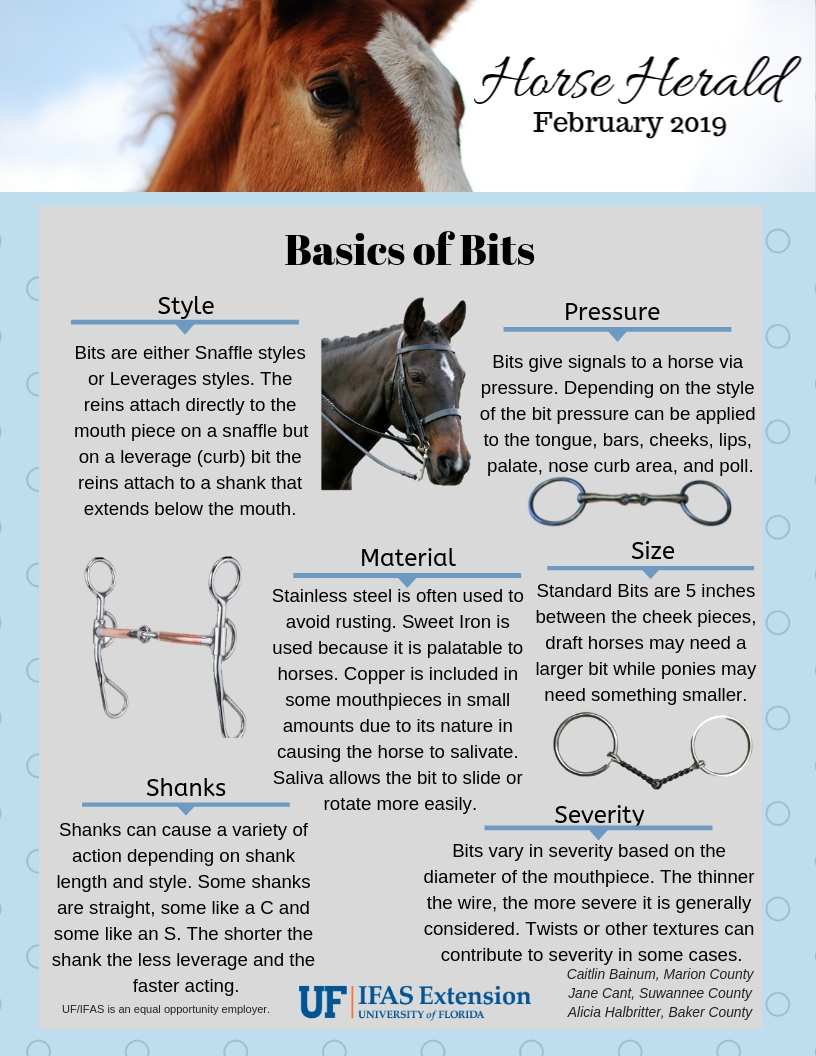Horse Herald - Basics of Bits - UF/IFAS Extension Marion County