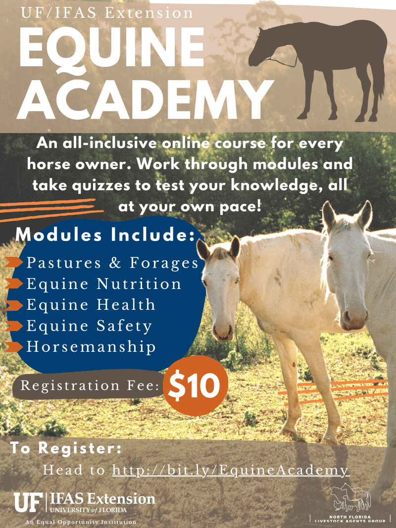New Equine Course Available! UF/IFAS Extension Baker County