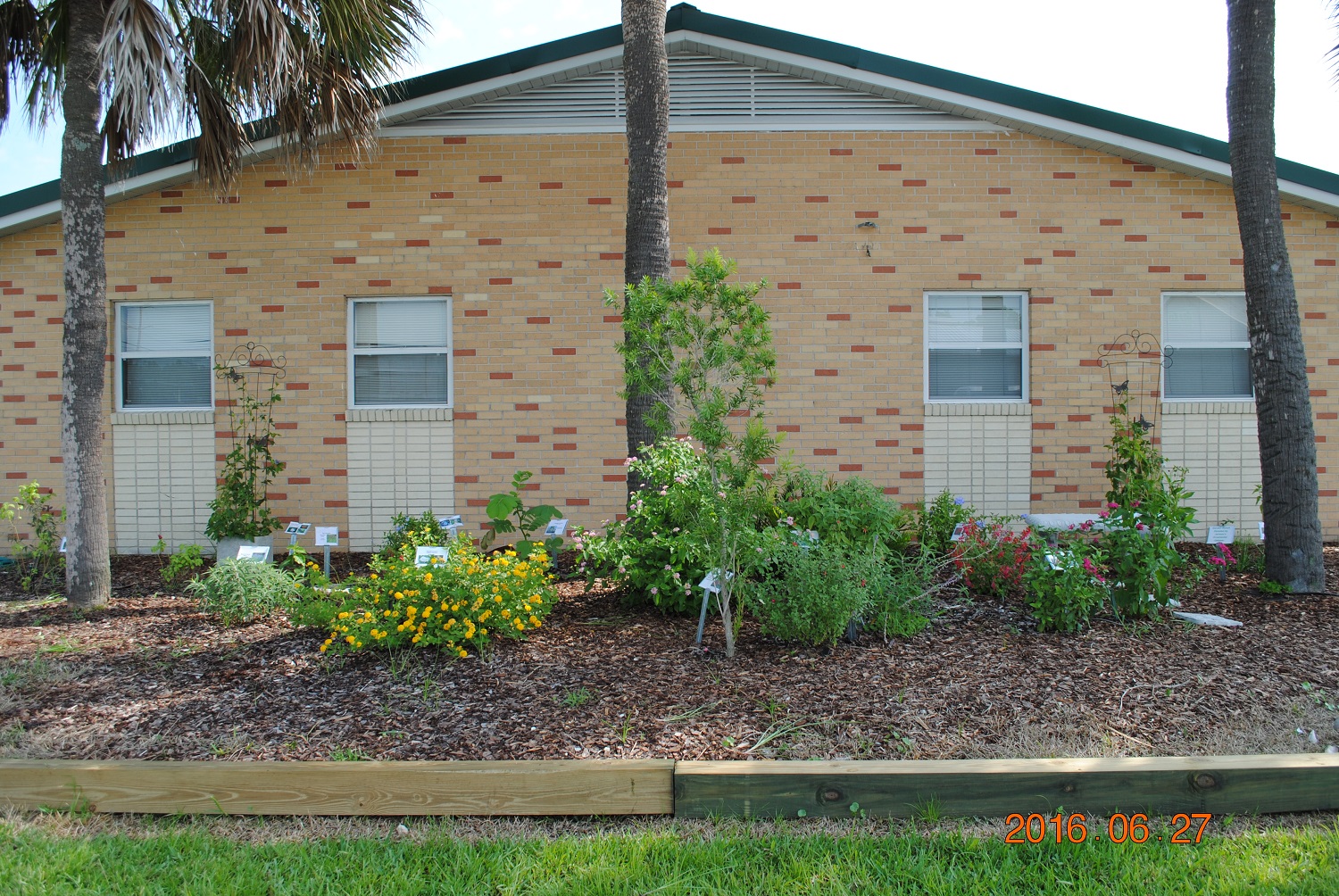Butterfly Garden UF/IFAS Extension Bradford County