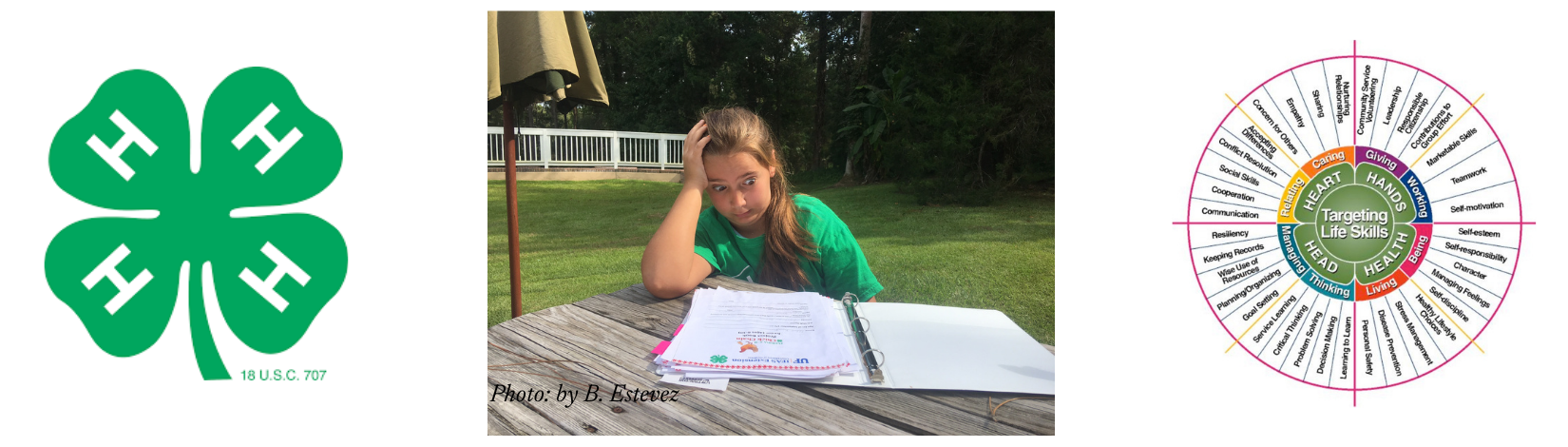 Record keeping is an important life skill youth learn in 4-H.