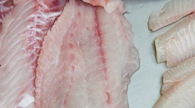 Reeling in the Flavor: Florida’s Groupers