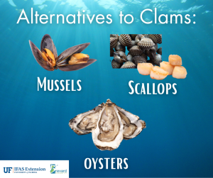 Alternatives to clams such as mussels, scallops, and oysters. 