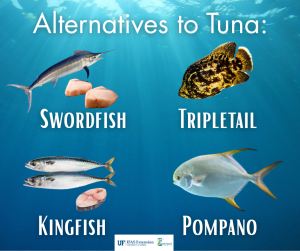 Alternatives to tuna. Swordfish, tripletail, kingfish, and pompano.