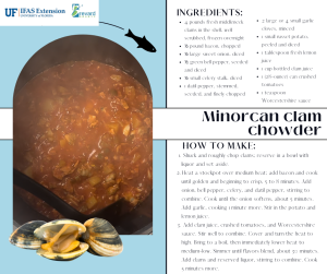 Minorcan clam chowder recipe graphic. Recipe details below. 