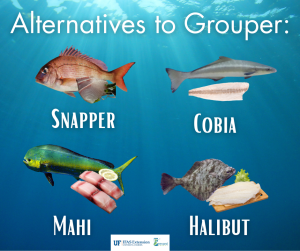 Alternatives to grouper include snapper, cobia, mahi, and halibut