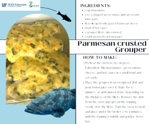 Parmesan crusted grouper recipe graphic. Recipe details are below. 