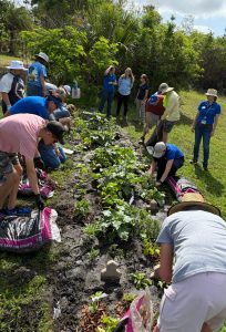group of people mulching a garden plot