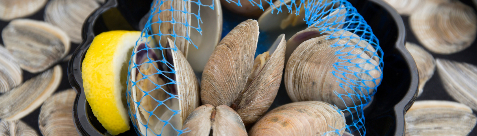 Clams laid out on a table