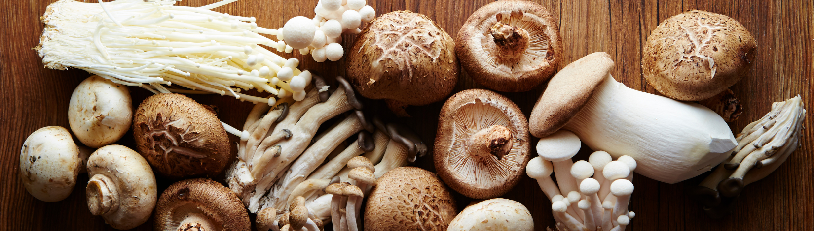 Different types of mushrooms