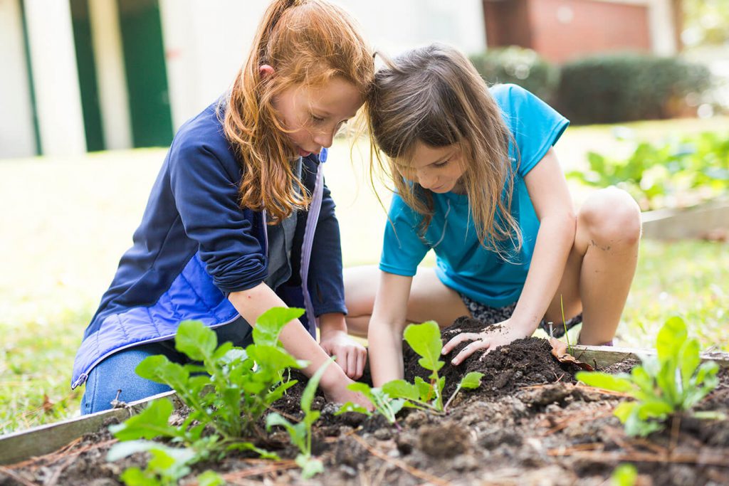 Extension Promotes School Gardening in Broward County - UF/IFAS ...