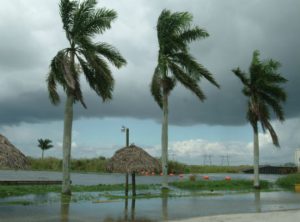 Hurricane Preparedness Kit for The Elderly, Palm Beach
