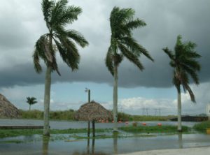 A Florida Girl's Storm Preparedness Kit Must-Haves