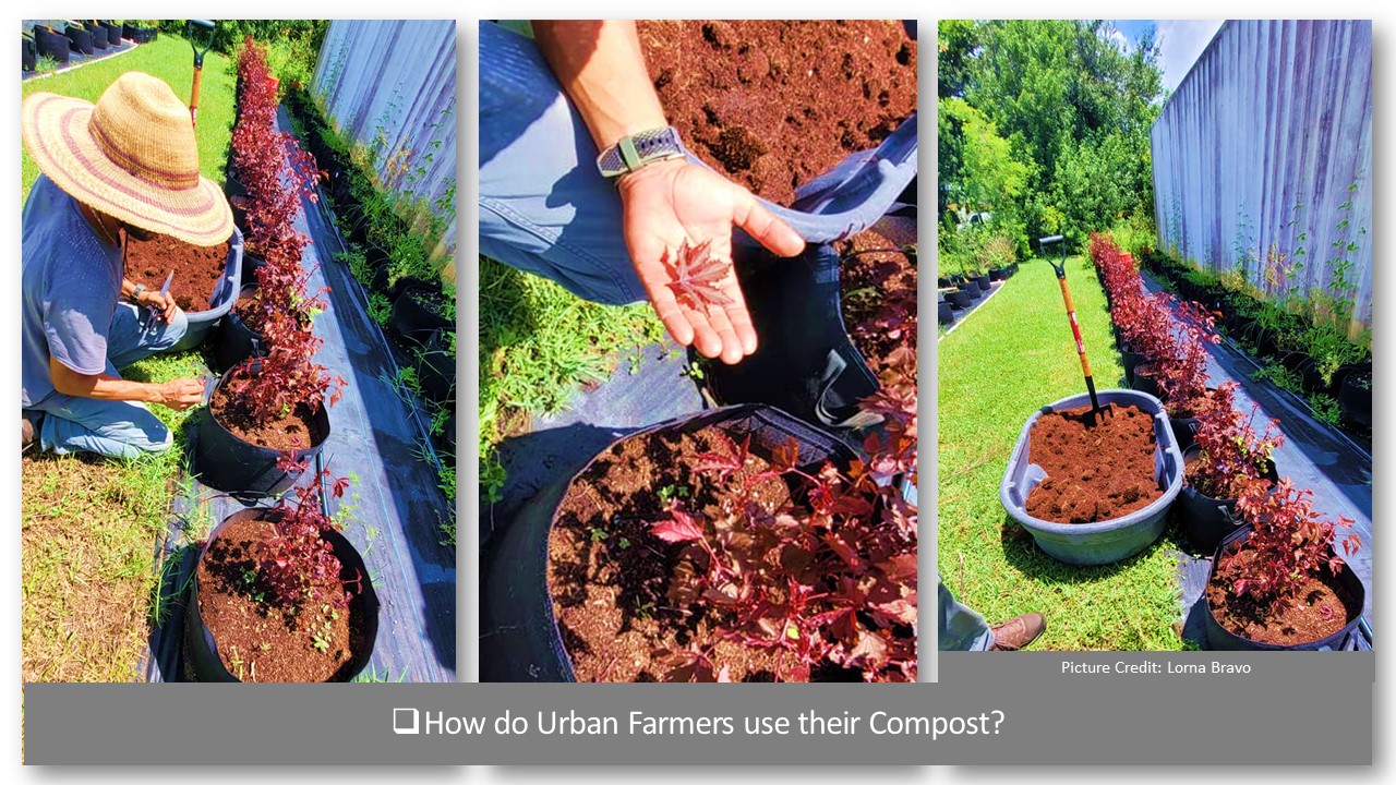 Broward County Urban Growers Composting