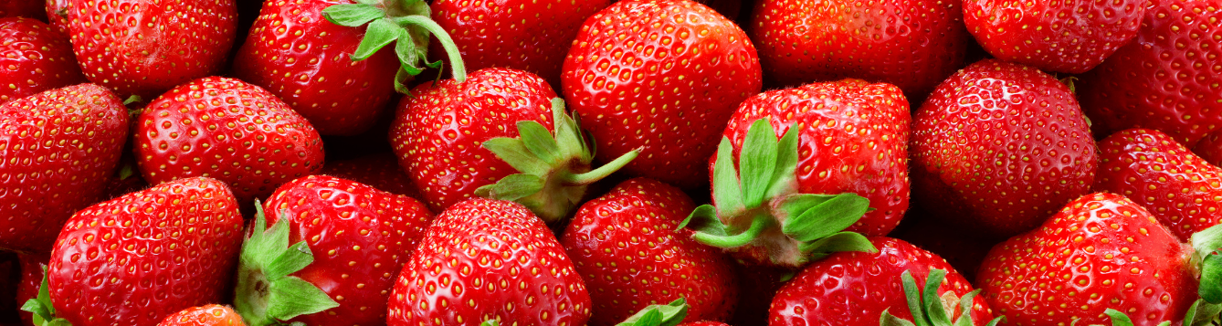 https://blogs.ifas.ufl.edu/browardco/files/2023/03/fresh-red-strawberries-show-with-green-caps-banner-.png
