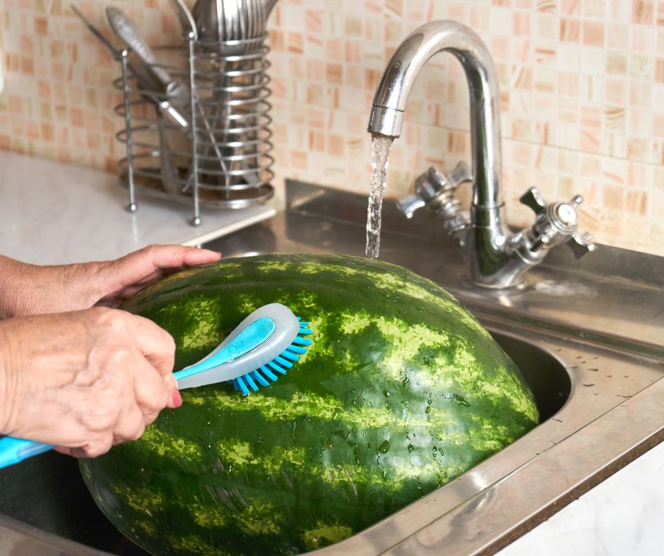 Sweet and Tasty Watermelon UF/IFAS Extension Broward County