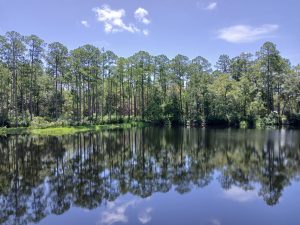 The view outside Austin Cary Learning Center