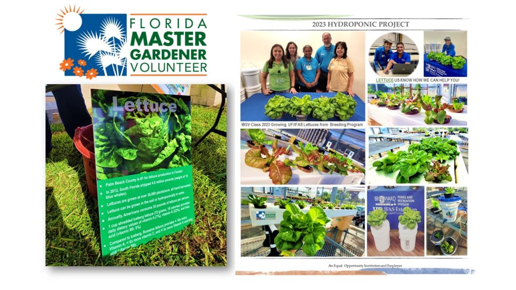 Hydroponic Demonstration Project