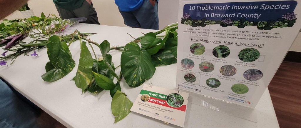 10 Problematic Invasive Species in Broward County