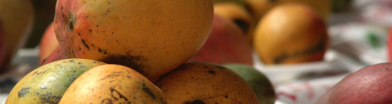 Mangoes on a table