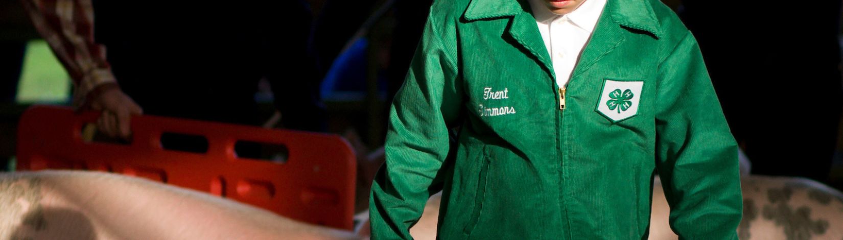 A 4H youth guiding his hog at the swine competition at a 4H livestock fair. Pigs, hogs, raising livestock, youth programs. UF/IFAS Photo by Tyler Jones.