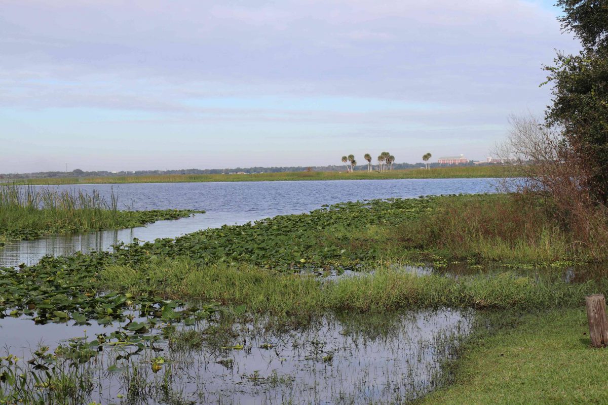 a-moment-of-clarity-does-clear-water-mean-healthy-water-uf-ifas