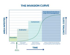 The Invasion Curve