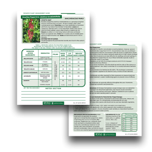 A mock up example of an invasive plant mangement guide