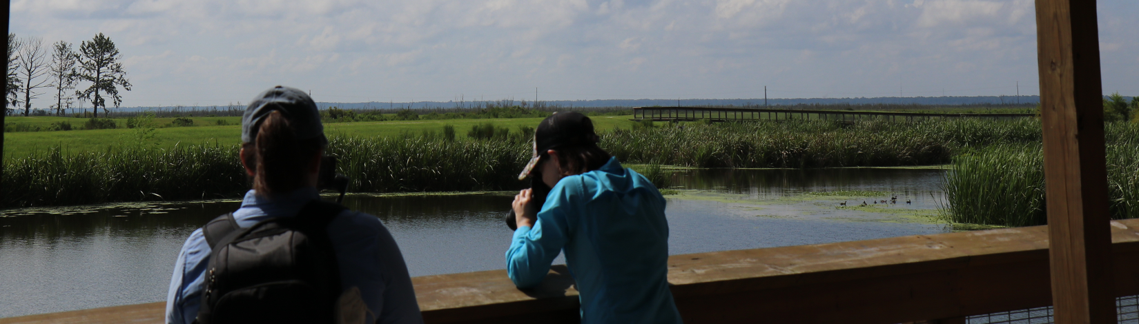 Two people stand on a dock and look out over the water. One of them is taking a picture using a camera.
